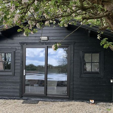The Cosy Cabin By The Shore Galway Exteriör bild