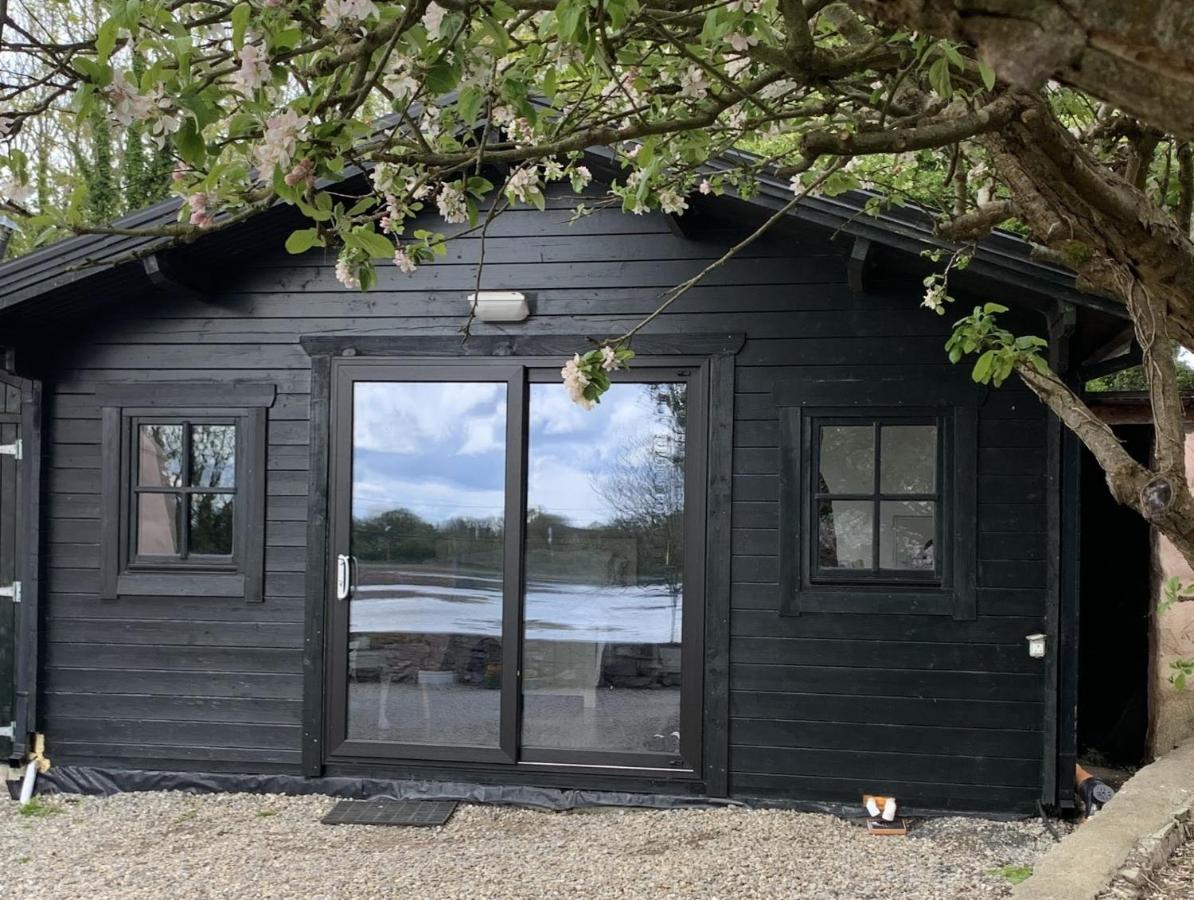 The Cosy Cabin By The Shore Galway Exteriör bild